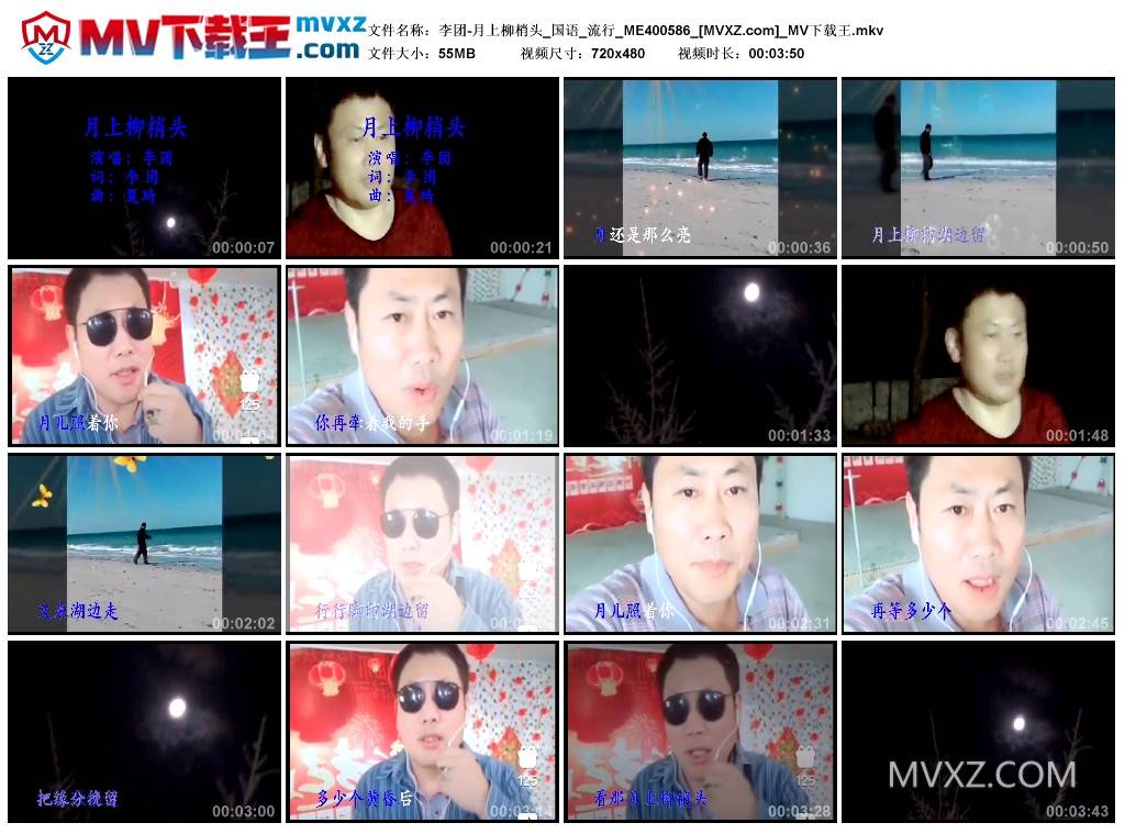 李团-月上柳梢头_国语_流行_ME400586